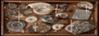 fossils fossils