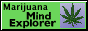 marijuana mind explorer marijuana mind explorer