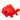 fishy fishy