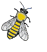 buzz off!
