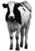 moove on