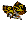 fly away now